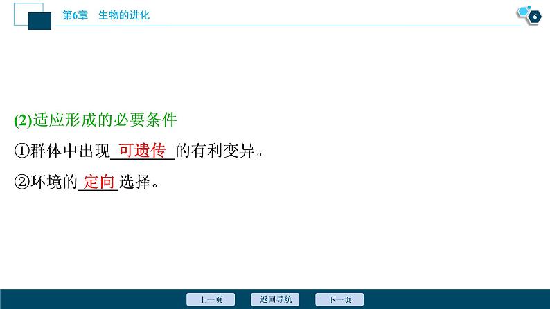 第6章第2节　自然选择与适应的形成--（新教材）2021年人教版（2019）高中生物必修2课件第7页