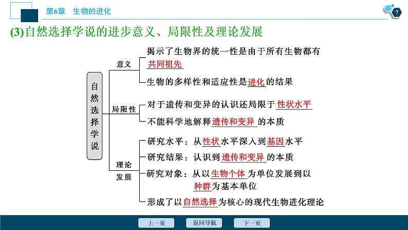 第6章第2节　自然选择与适应的形成--（新教材）2021年人教版（2019）高中生物必修2课件第8页