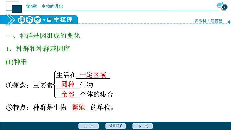 第6章第3节　种群基因组成的变化与物种的形成--（新教材）2021年人教版（2019）高中生物必修2课件05