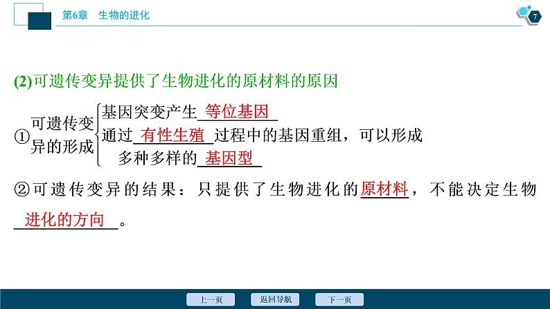 第6章第3节　种群基因组成的变化与物种的形成--（新教材）2021年人教版（2019）高中生物必修2课件08