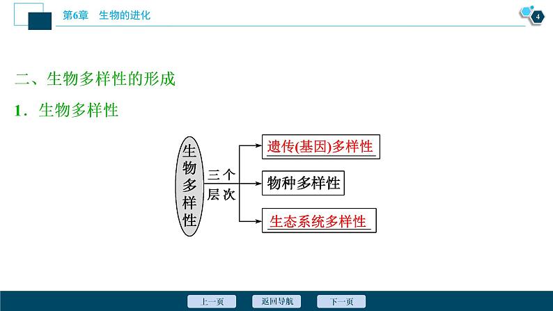 第6章第4节　协同进化与生物多样性的形成--（新教材）2021年人教版（2019）高中生物必修2课件第5页