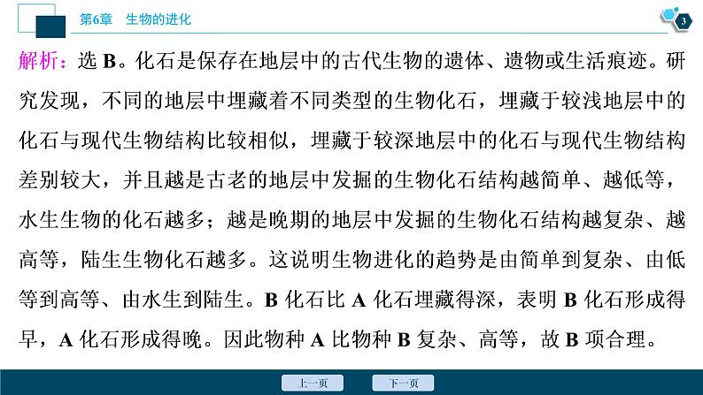 第6章章末综合检测(六)--（新教材）2021年人教版（2019）高中生物必修2课件04