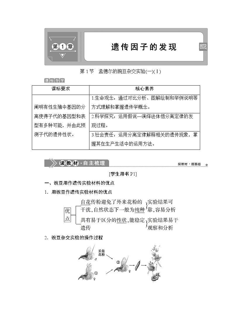 第1章第1节　孟德尔的豌豆杂交实验(一)(Ⅰ)--（新教材）2021年人教版（2019）高中生物必修2同步学案+同步练习01