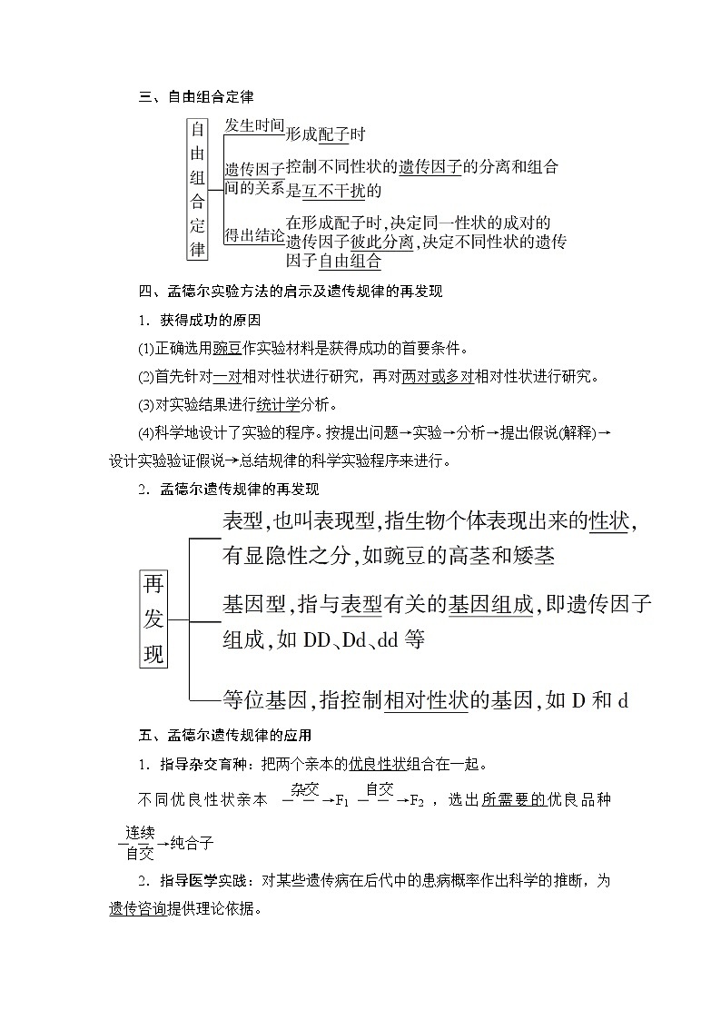 第1章第2节　孟德尔的豌豆杂交实验(二)(Ⅰ)--（新教材）2021年人教版（2019）高中生物必修2同步学案+同步练习第3页