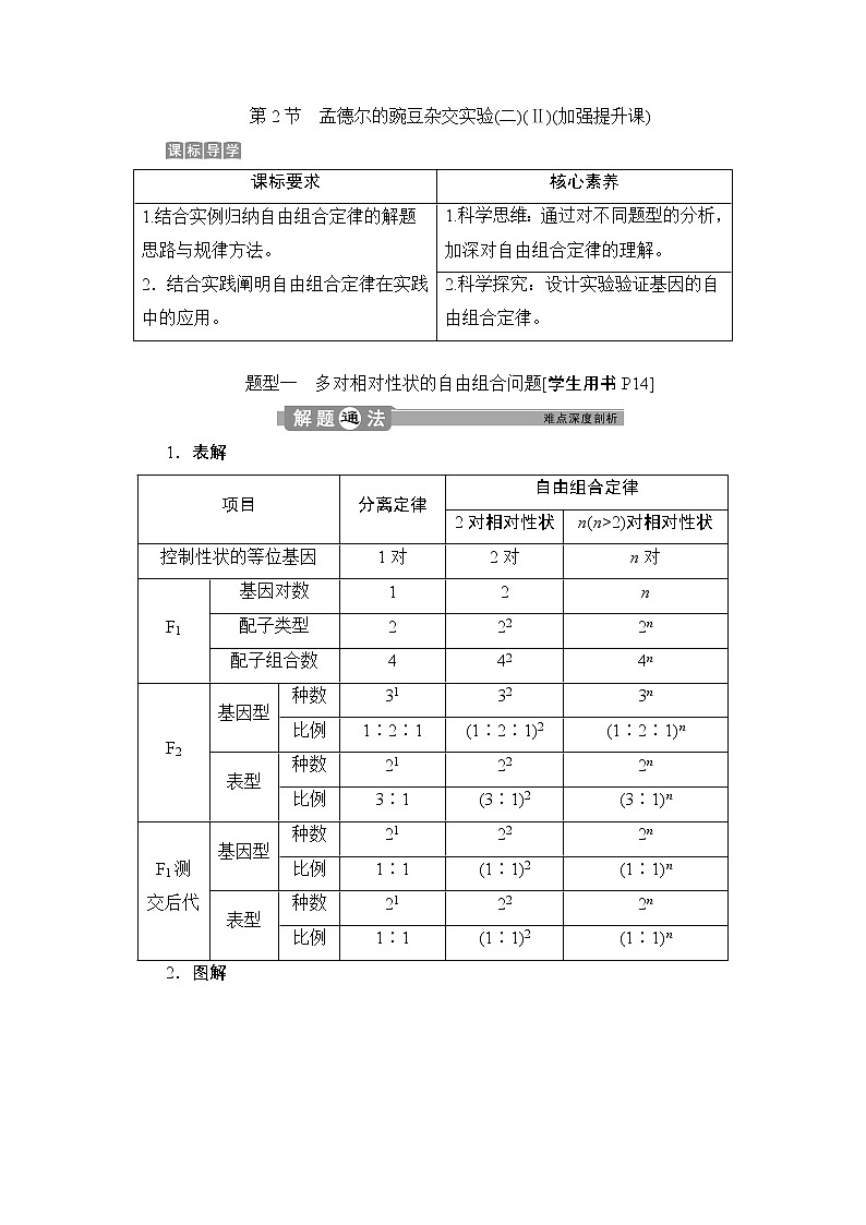 第1章第2节　孟德尔的豌豆杂交实验(二)(Ⅱ)(加强提升课)--（新教材）2021年人教版（2019）高中生物必修2同步学案+同步练习第1页