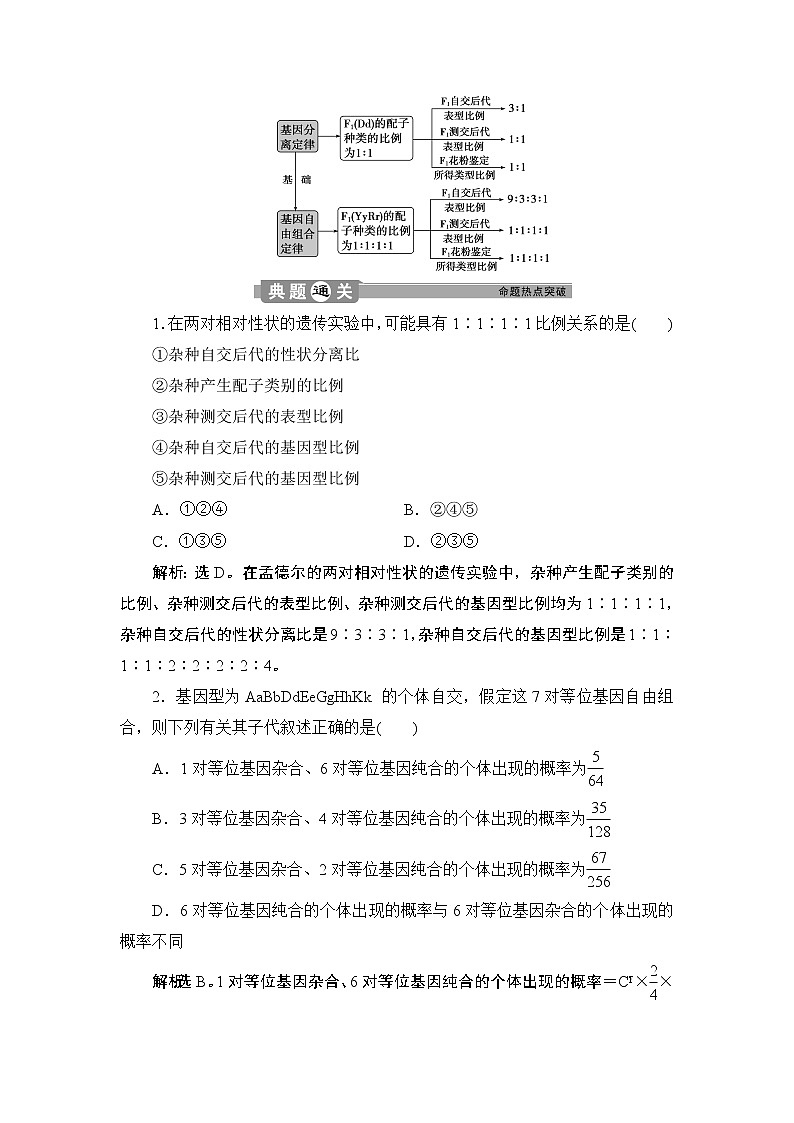 第1章第2节　孟德尔的豌豆杂交实验(二)(Ⅱ)(加强提升课)--（新教材）2021年人教版（2019）高中生物必修2同步学案+同步练习第2页
