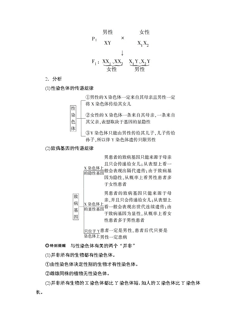 第2章第3节　伴性遗传(Ⅰ)--（新教材）2021年人教版（2019）高中生物必修2同步学案+同步练习第3页
