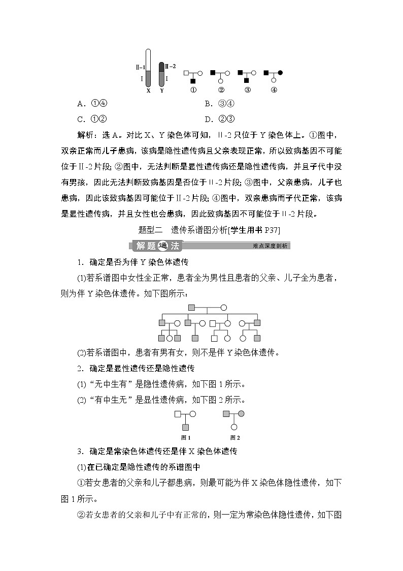 第2章第3节　伴性遗传(Ⅱ)(加强提升课)--（新教材）2021年人教版（2019）高中生物必修2同步学案+同步练习第3页