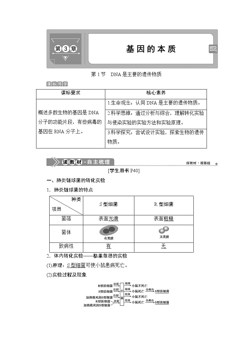 第3章第1节   DNA是主要的遗传物质--（新教材）2021年人教版（2019）高中生物必修2同步学案+同步练习01