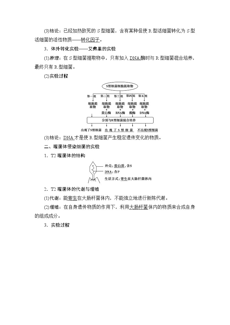 第3章第1节   DNA是主要的遗传物质--（新教材）2021年人教版（2019）高中生物必修2同步学案+同步练习02