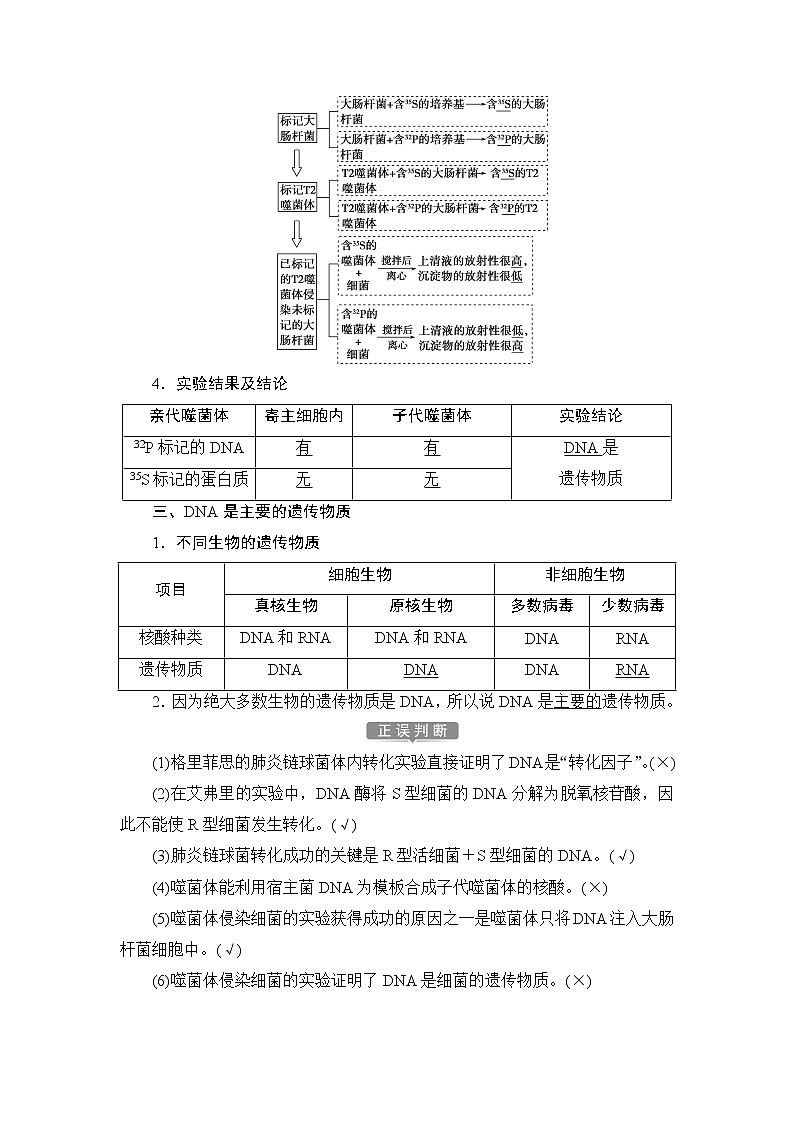 第3章第1节   DNA是主要的遗传物质--（新教材）2021年人教版（2019）高中生物必修2同步学案+同步练习03
