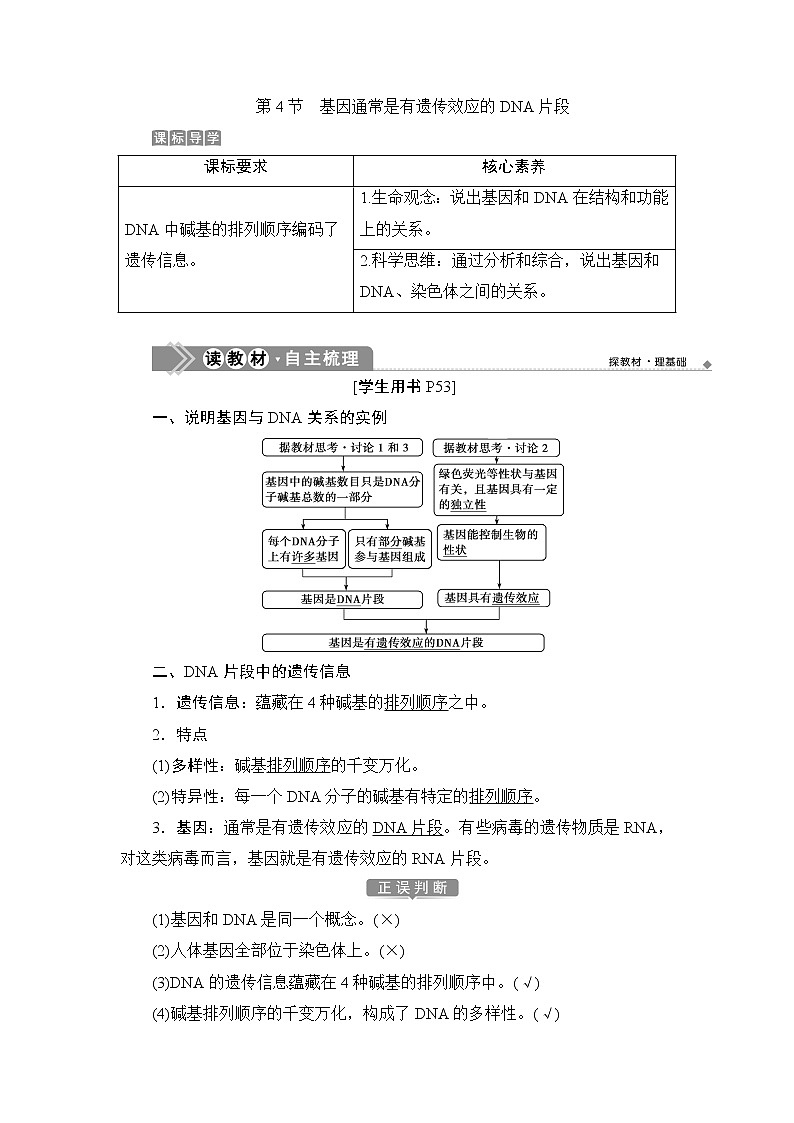 第3章第4节   基因通常是有遗传效应的DNA片段--（新教材）2021年人教版（2019）高中生物必修2同步学案+同步练习第1页