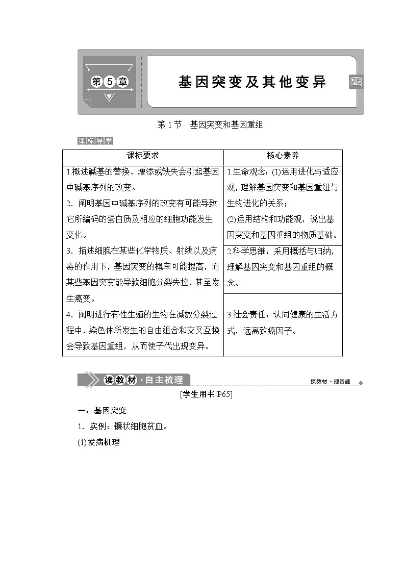 第5章第1节   基因突变和基因重组--（新教材）2021年人教版（2019）高中生物必修2同步学案+同步练习第1页