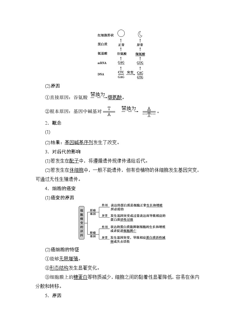 第5章第1节   基因突变和基因重组--（新教材）2021年人教版（2019）高中生物必修2同步学案+同步练习第2页