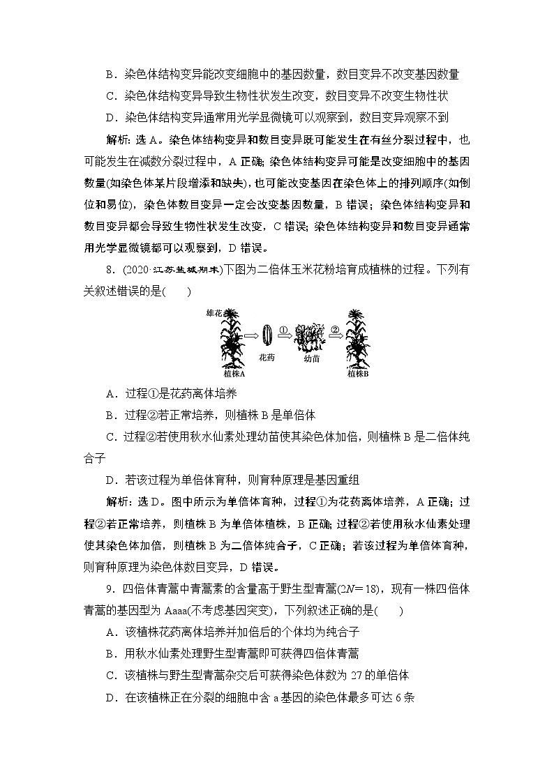 第5章章末综合检测(五)--（新教材）2021年人教版（2019）高中生物必修2同步学案+同步练习第3页