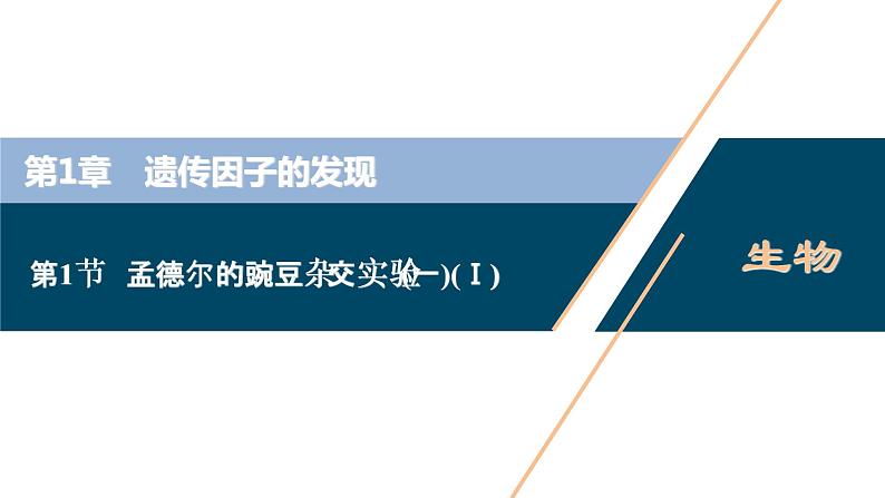 第1章第1节　孟德尔的豌豆杂交实验(一)(Ⅰ)--（新教材）2021年人教版（2019）高中生物必修2课件01