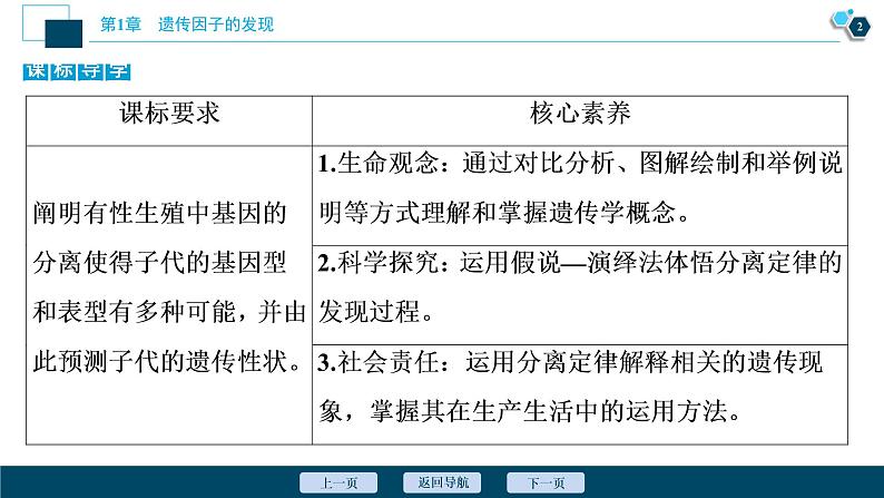 第1章第1节　孟德尔的豌豆杂交实验(一)(Ⅰ)--（新教材）2021年人教版（2019）高中生物必修2课件03