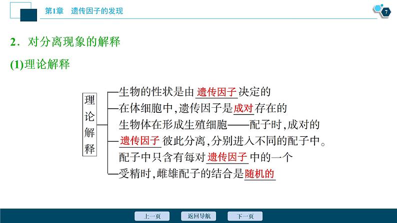 第1章第1节　孟德尔的豌豆杂交实验(一)(Ⅰ)--（新教材）2021年人教版（2019）高中生物必修2课件08
