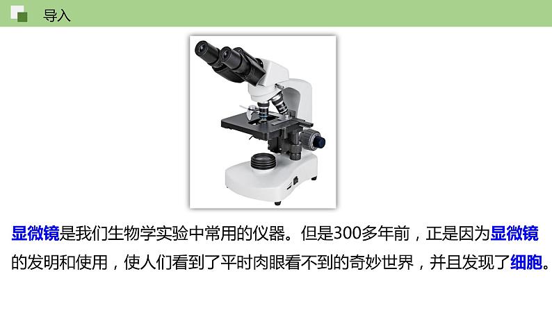 1.1 发现细胞（课件）--2021-2022学年新教材北师大版高中生物必修1第3页