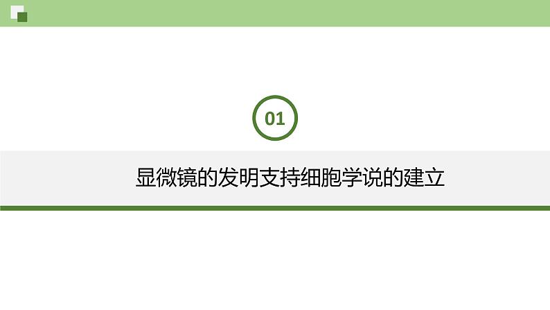 1.1 发现细胞（课件）--2021-2022学年新教材北师大版高中生物必修1第4页