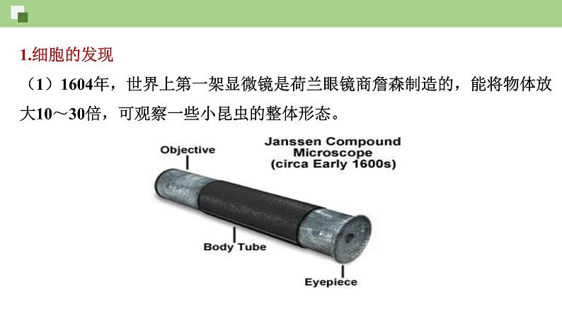 1.1 发现细胞（课件）--2021-2022学年新教材北师大版高中生物必修1第6页