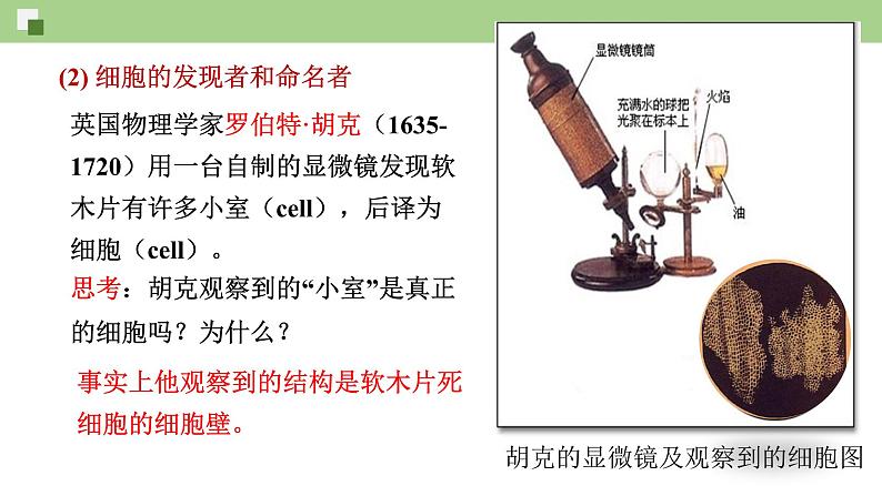 1.1 发现细胞（课件）--2021-2022学年新教材北师大版高中生物必修1第7页