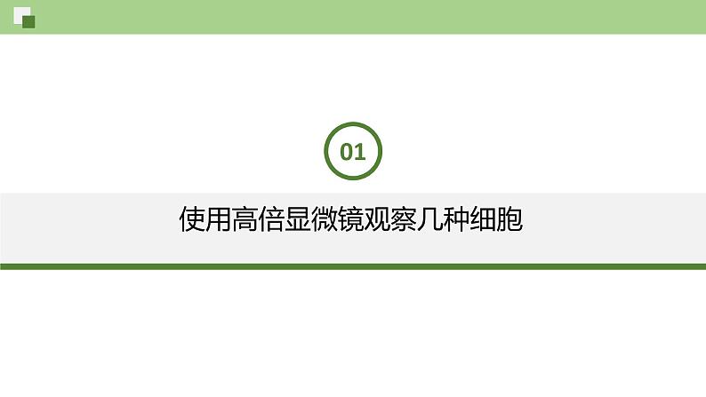 1.2 细胞的多样性和统一性--2021-2022学年新教材北师大版高中生物必修1课件+导学案+教学设计+练习03