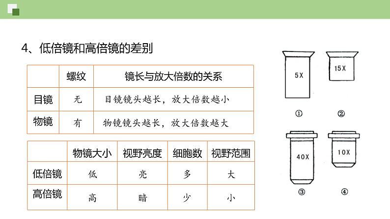 1.2 细胞的多样性和统一性--2021-2022学年新教材北师大版高中生物必修1课件+导学案+教学设计+练习06