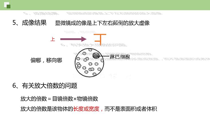 1.2 细胞的多样性和统一性--2021-2022学年新教材北师大版高中生物必修1课件+导学案+教学设计+练习07