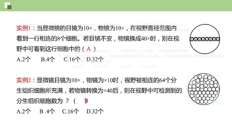 1.2 细胞的多样性和统一性--2021-2022学年新教材北师大版高中生物必修1课件+导学案+教学设计+练习08