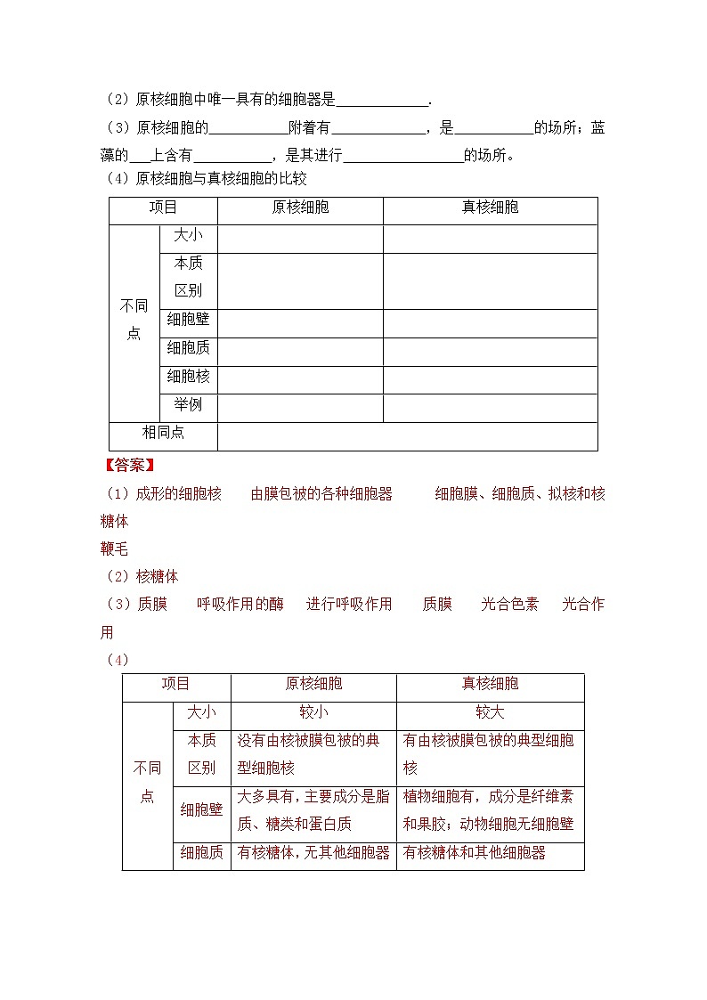 1.2 细胞的多样性和统一性--2021-2022学年新教材北师大版高中生物必修1课件+导学案+教学设计+练习03