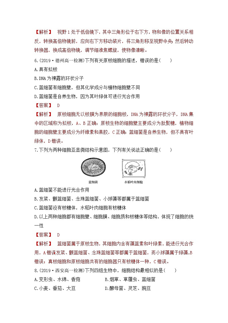 1.2 细胞的多样性和统一性--2021-2022学年新教材北师大版高中生物必修1课件+导学案+教学设计+练习03