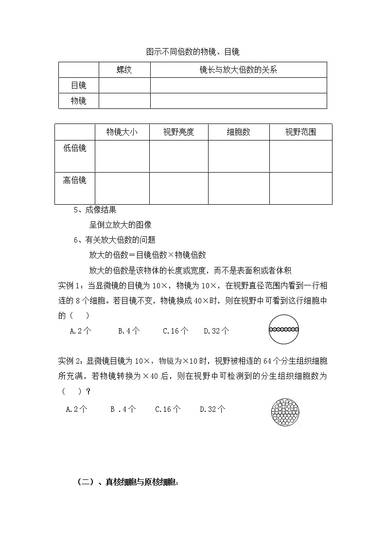 1.2 细胞的多样性和统一性--2021-2022学年新教材北师大版高中生物必修1课件+导学案+教学设计+练习02
