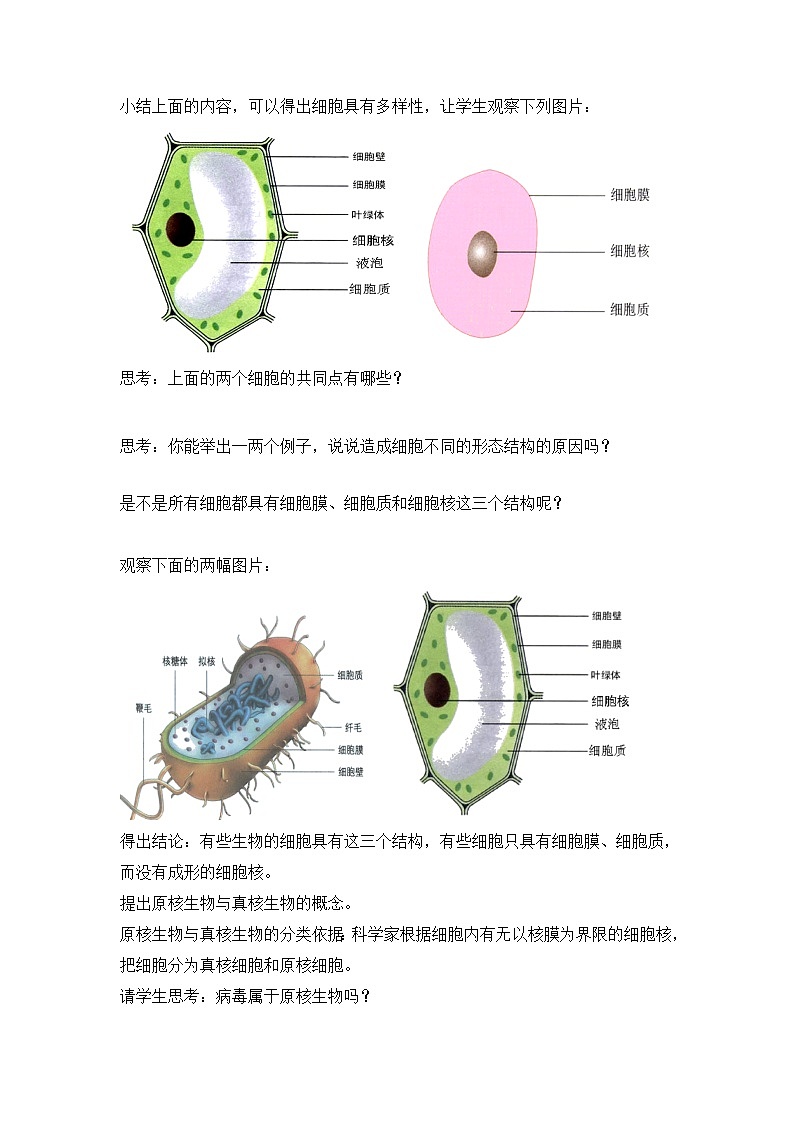 1.2 细胞的多样性和统一性--2021-2022学年新教材北师大版高中生物必修1课件+导学案+教学设计+练习03