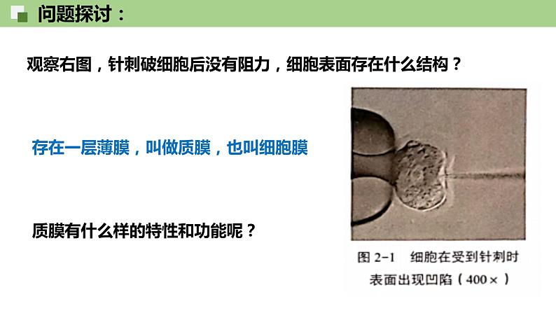 2.1.1 质膜的结构和功能--2021-2022学年新教材北师大版高中生物必修1课件+导学案+教学设计+练习02