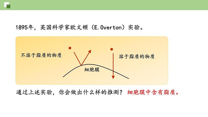 2.1.1 质膜的结构和功能--2021-2022学年新教材北师大版高中生物必修1课件+导学案+教学设计+练习04