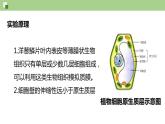 2.1.2 物质进出细胞的方式--2021-2022学年新教材北师大版高中生物必修1课件+导学案+教学设计+练习