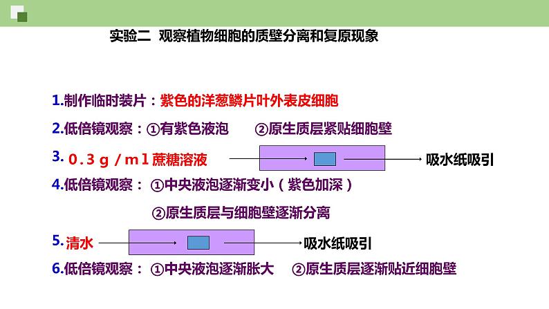 2.1.2 物质进出细胞的方式（课件）--2021-2022学年新教材北师大版高中生物必修1第7页