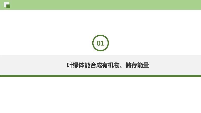 2.2 细胞质（课件）--2021-2022学年新教材北师大版高中生物必修1第2页