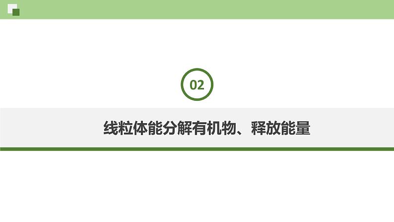 2.2 细胞质（课件）--2021-2022学年新教材北师大版高中生物必修1第7页