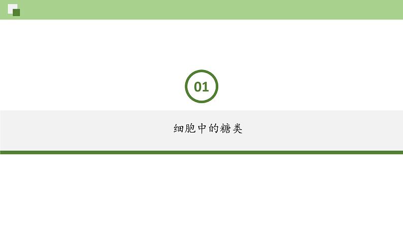 3.2 细胞中的糖类和脂质--2021-2022学年新教材北师大版高中生物必修1课件+导学案+教学设计+练习03