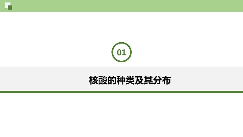 3.4 核酸（课件）--2021-2022学年新教材北师大版高中生物必修1第5页