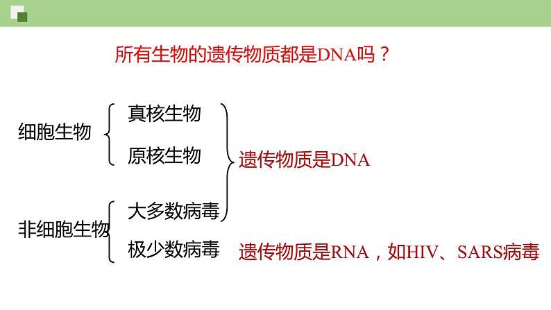 3.4 核酸（课件）--2021-2022学年新教材北师大版高中生物必修1第7页