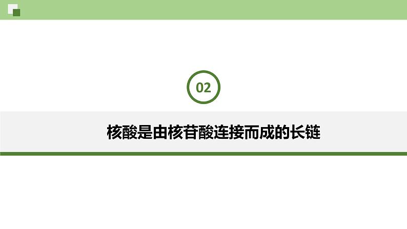 3.4 核酸（课件）--2021-2022学年新教材北师大版高中生物必修1第8页