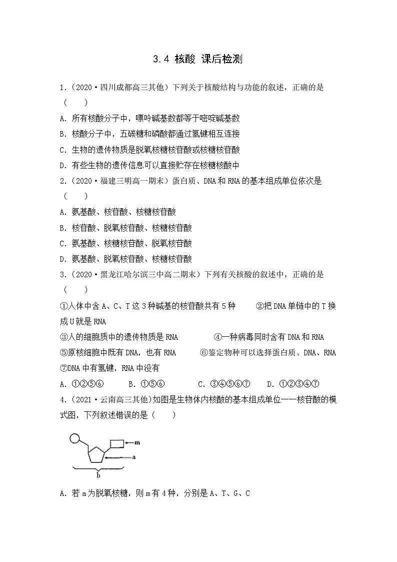 3.4 核酸（练习）（原卷版）第1页