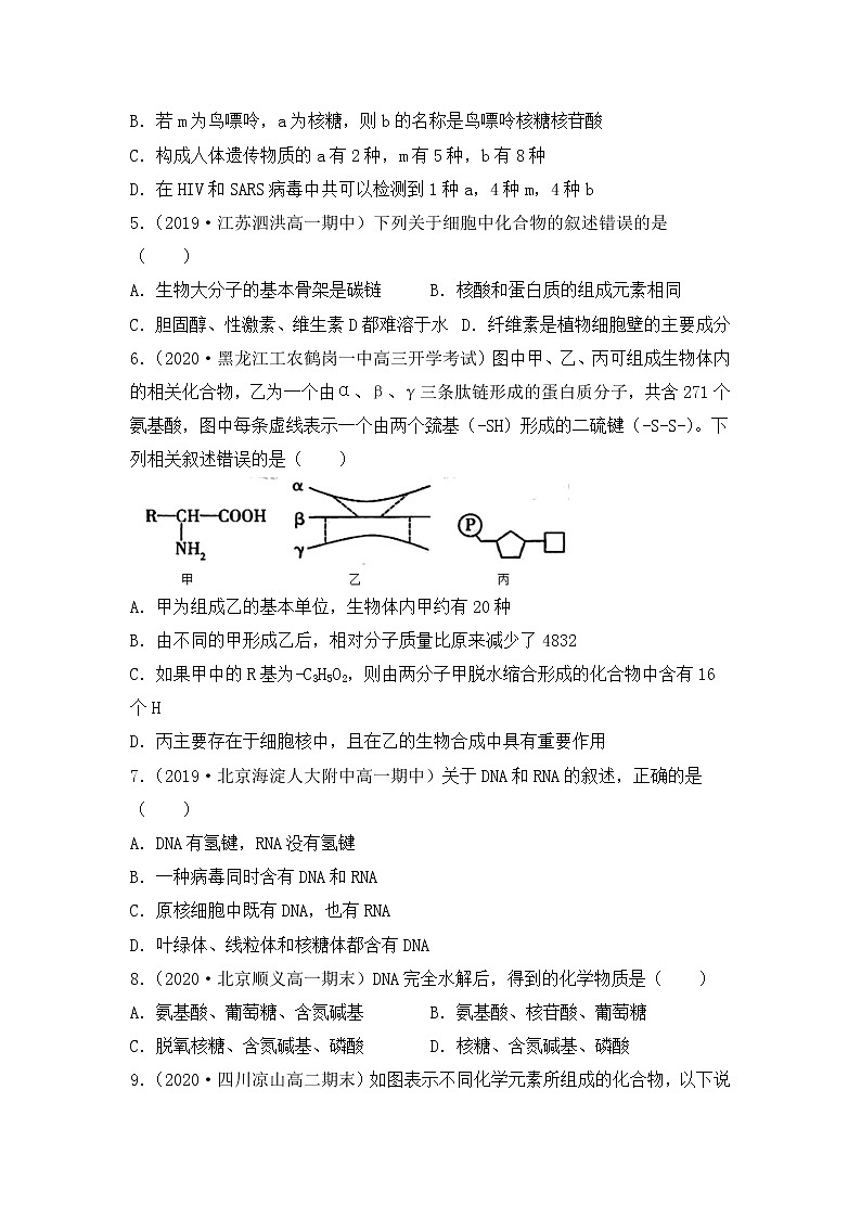 3.4 核酸（练习）（原卷版）第2页