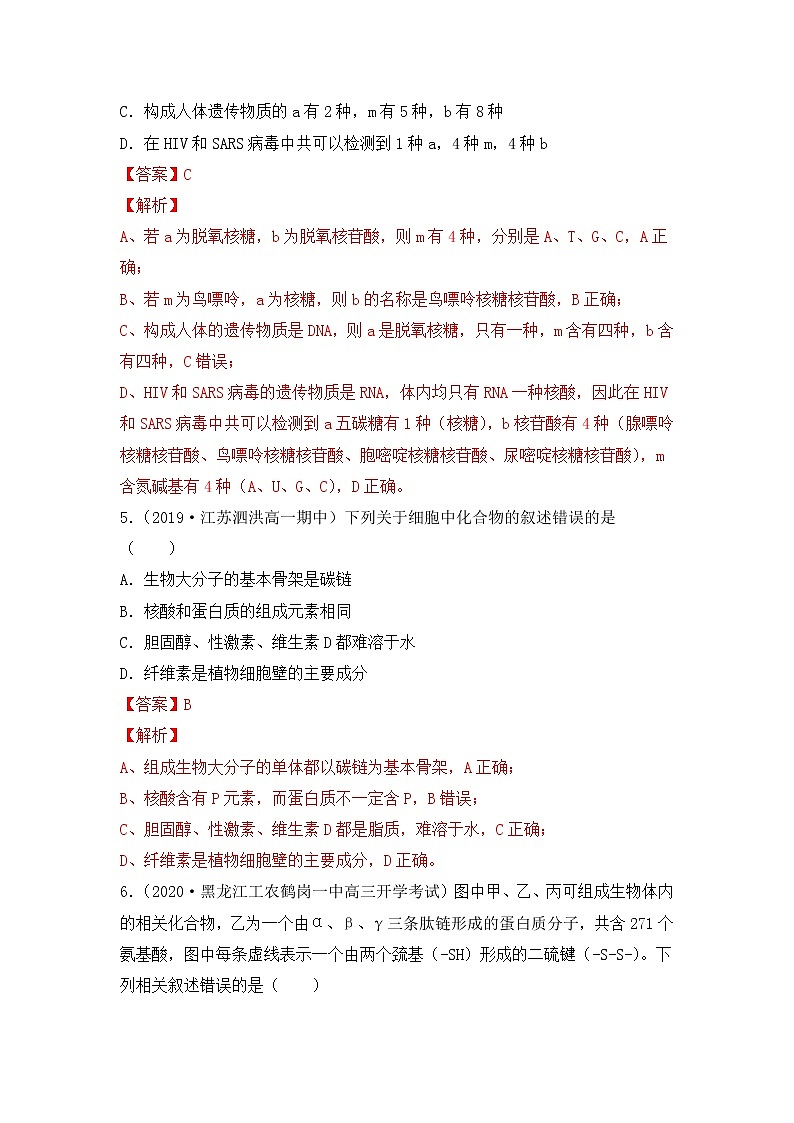 3.4 核酸（练习）（解析版）第3页