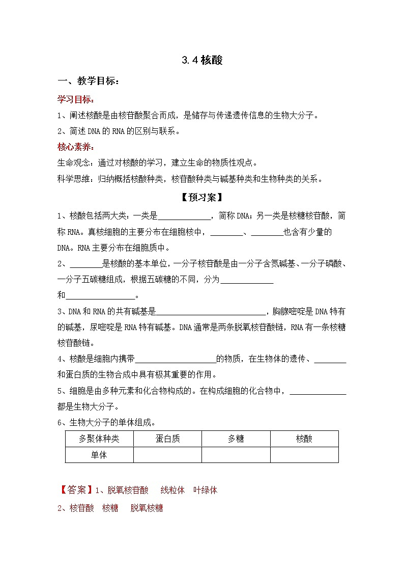 3.4 核酸（导学案）--2021-2022学年新教材北师大版高中生物必修1第1页