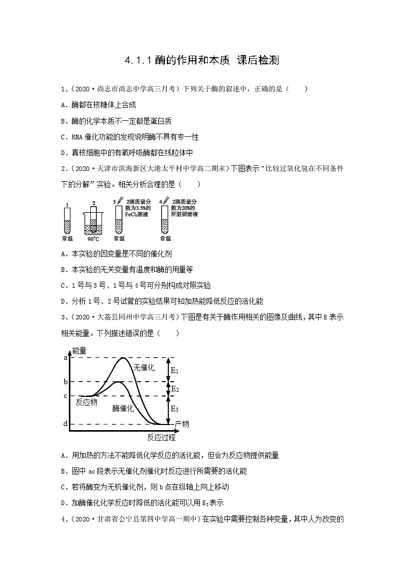 4.1.1 酶的作用和本质（练习）（原卷版）第1页