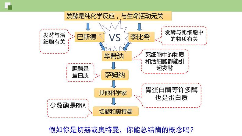 4.1.1 酶的作用和本质（课件）--2021-2022学年新教材北师大版高中生物必修1第2页
